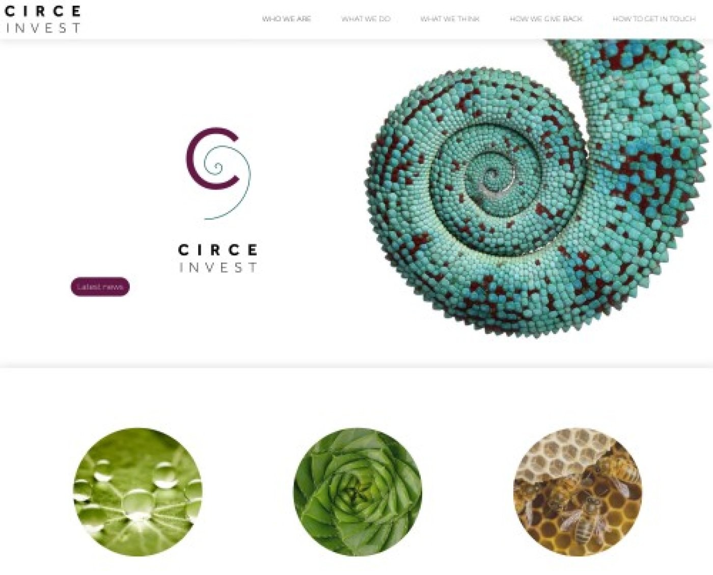 Circe Invest - Vision et Performance par OctoberCMS - Pixinside rÃ©fÃ©rence web